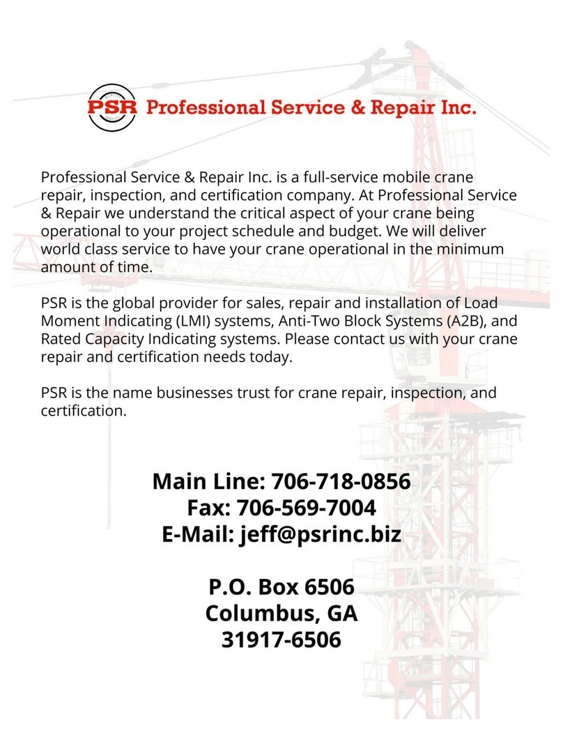 PSR PAT DS350 User manual