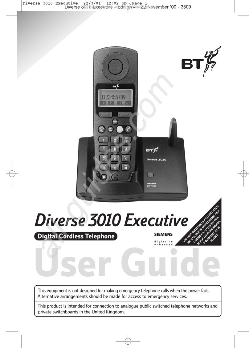 BT DIVERSE 3010 EXECUTIVE User manual