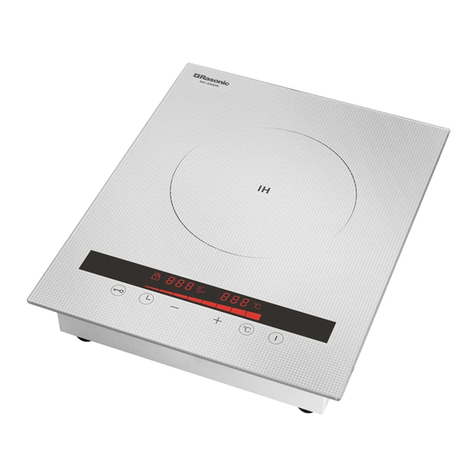 Rasonic RIC-S28DN User manual