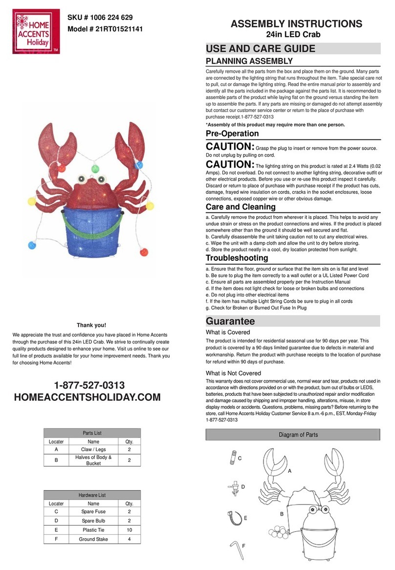 Home Accents Holiday 21RT01521141 User manual