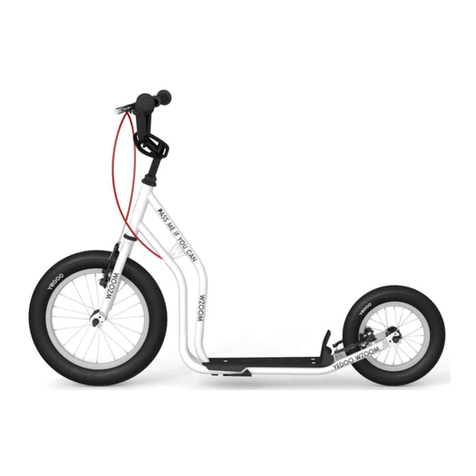 Yedoo WZOOM user manual