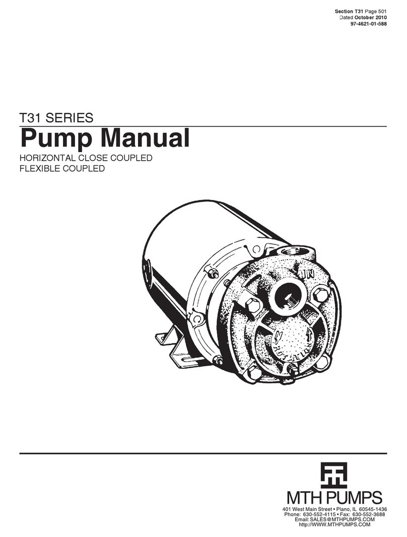 MTH PUMPS T31 Series manual