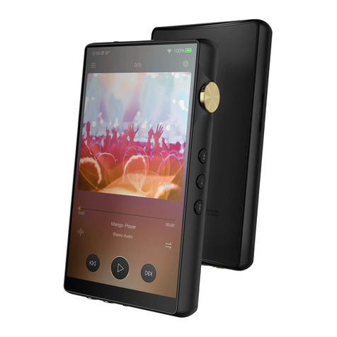 iBasso Audio DX240 User manual