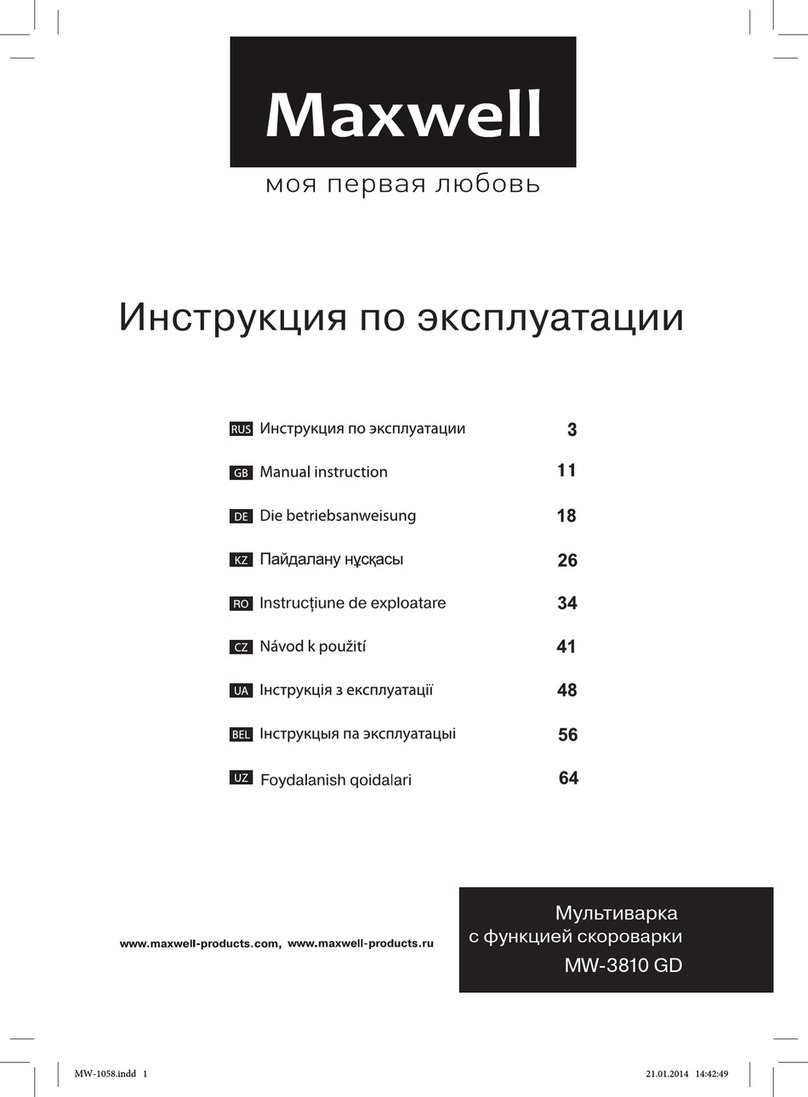 Maxwell MW-3810 GD Manual instruction