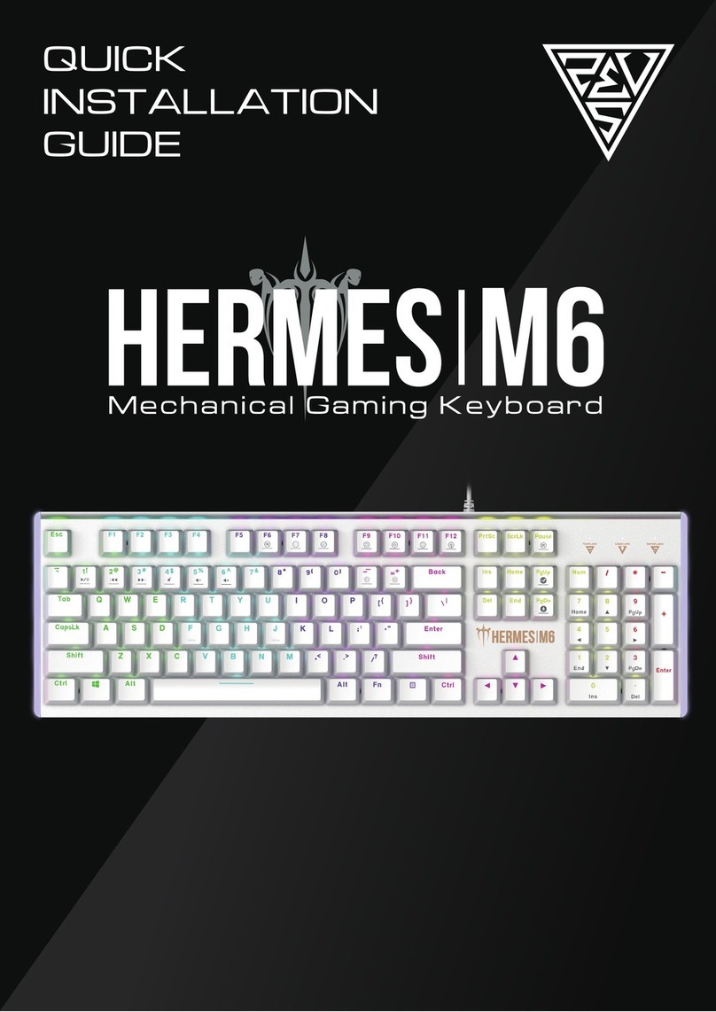 GAMDIAS HERMES M6 User manual