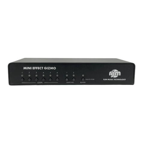 RJM MINI EFFECT GIZMO X quick start
