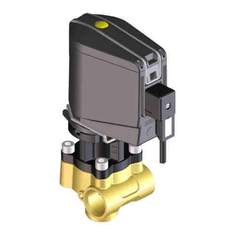 Braglia M202 Quick start guide