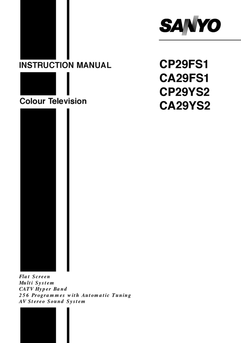 Sanyo CP29FS1 User manual Sanyo CP29FS1 User manual