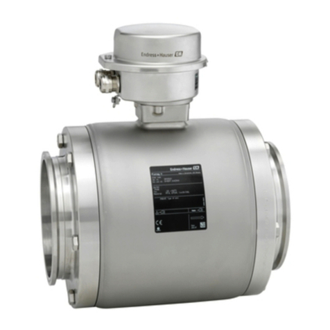 Endress+Hauser Proline Promag H 100 EtherNet/IP Technical specifications