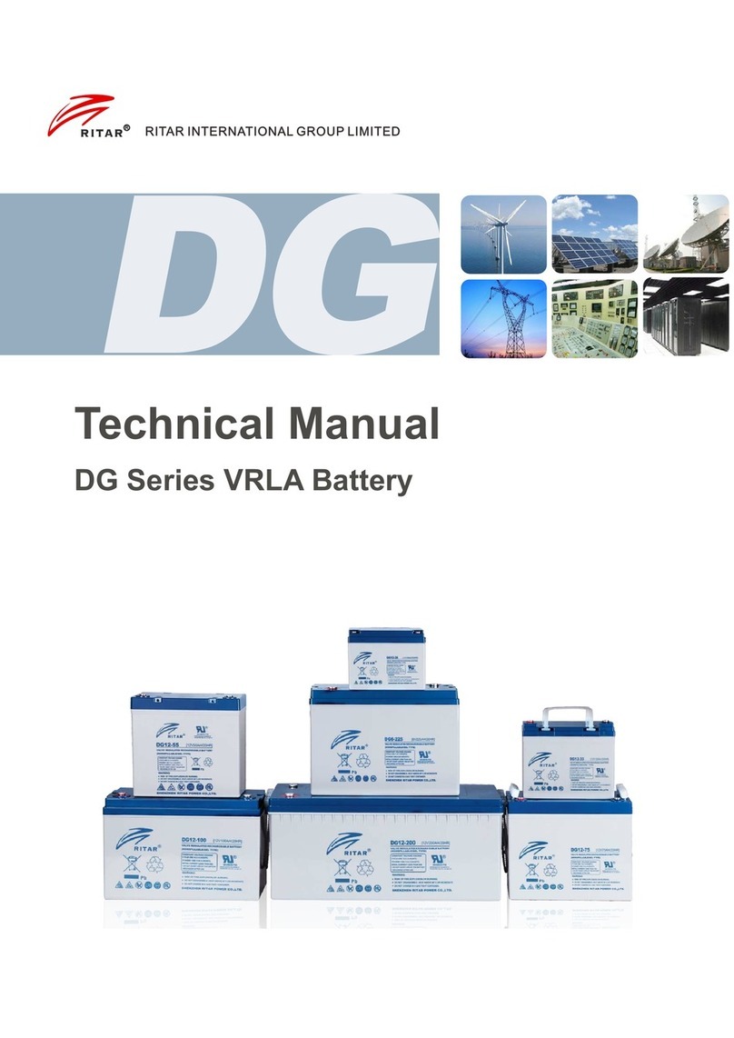 RITAR DG Series User manual