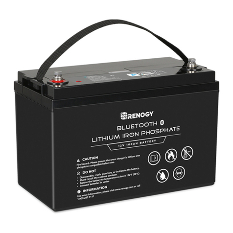 Renogy RBT100LFP12-BT-US manual