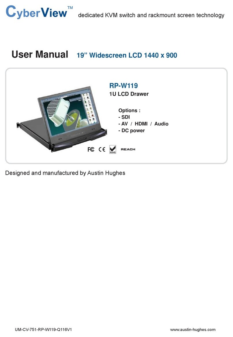 CyberView RP-W119 user manual