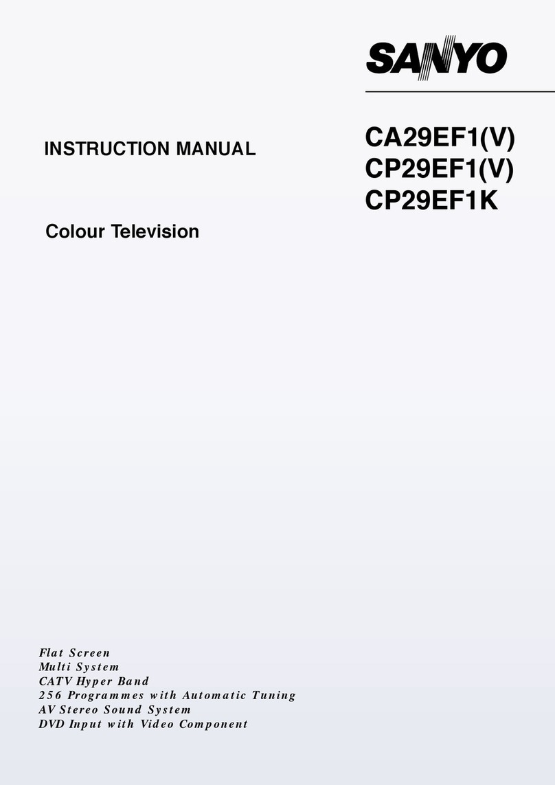 Sanyo CP29EF1K User manual