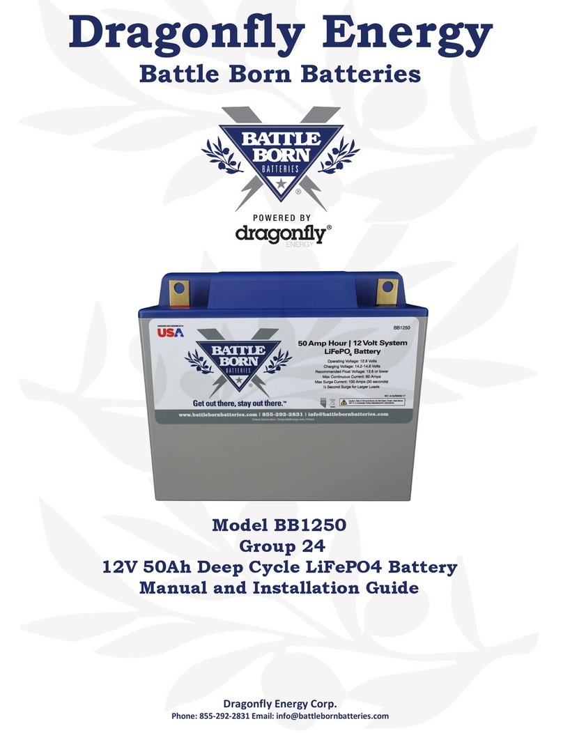 Dragonfly Energy Battle Born BB1250 Manual and installation guide