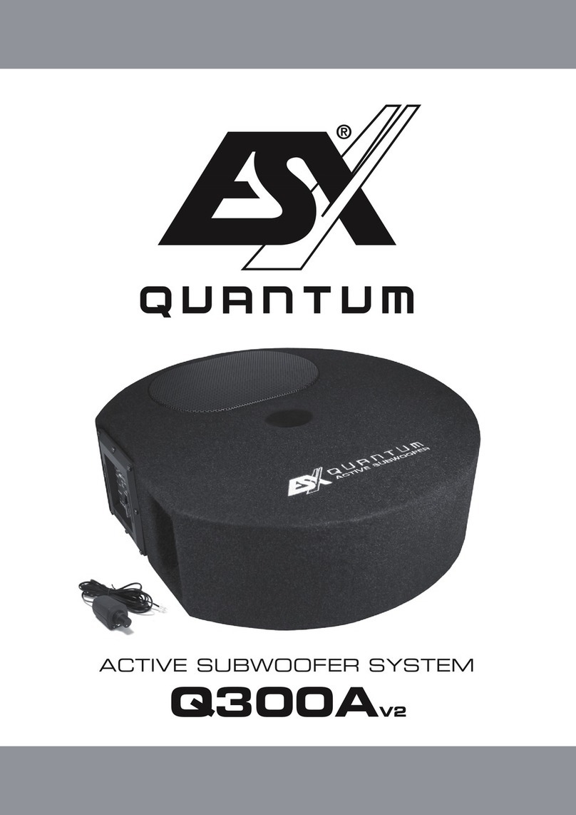 ESX Quantum Q300Av2 User manual