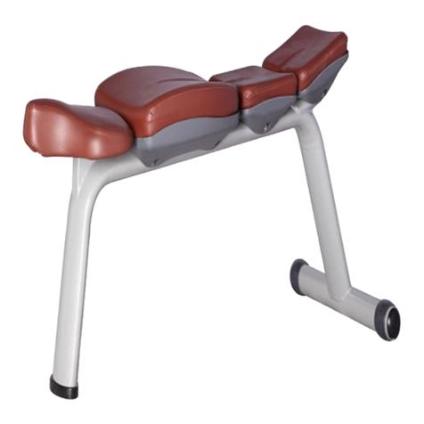 Baodelong Fitness H-36A User manual