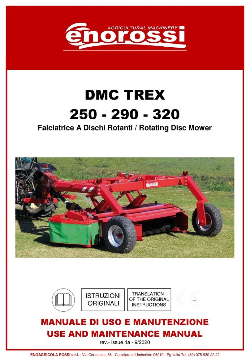 enorossi DMC TREX 250 User manual