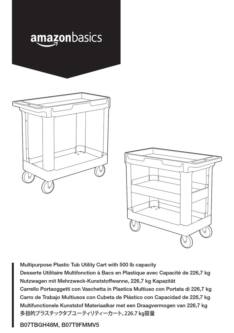 AmazonBasics B07TBGH48M User manual