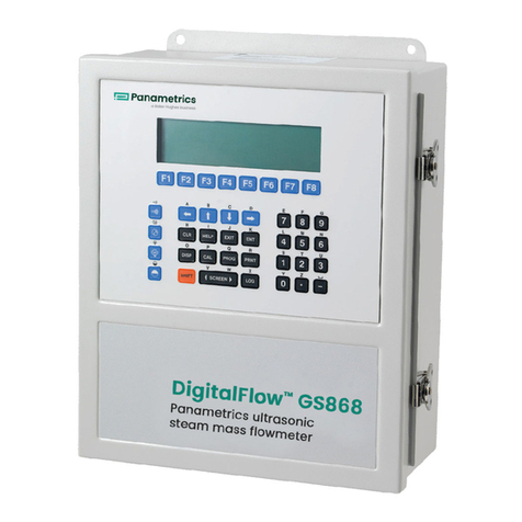 Panametrics DigitalFlow GS868 Programming manual