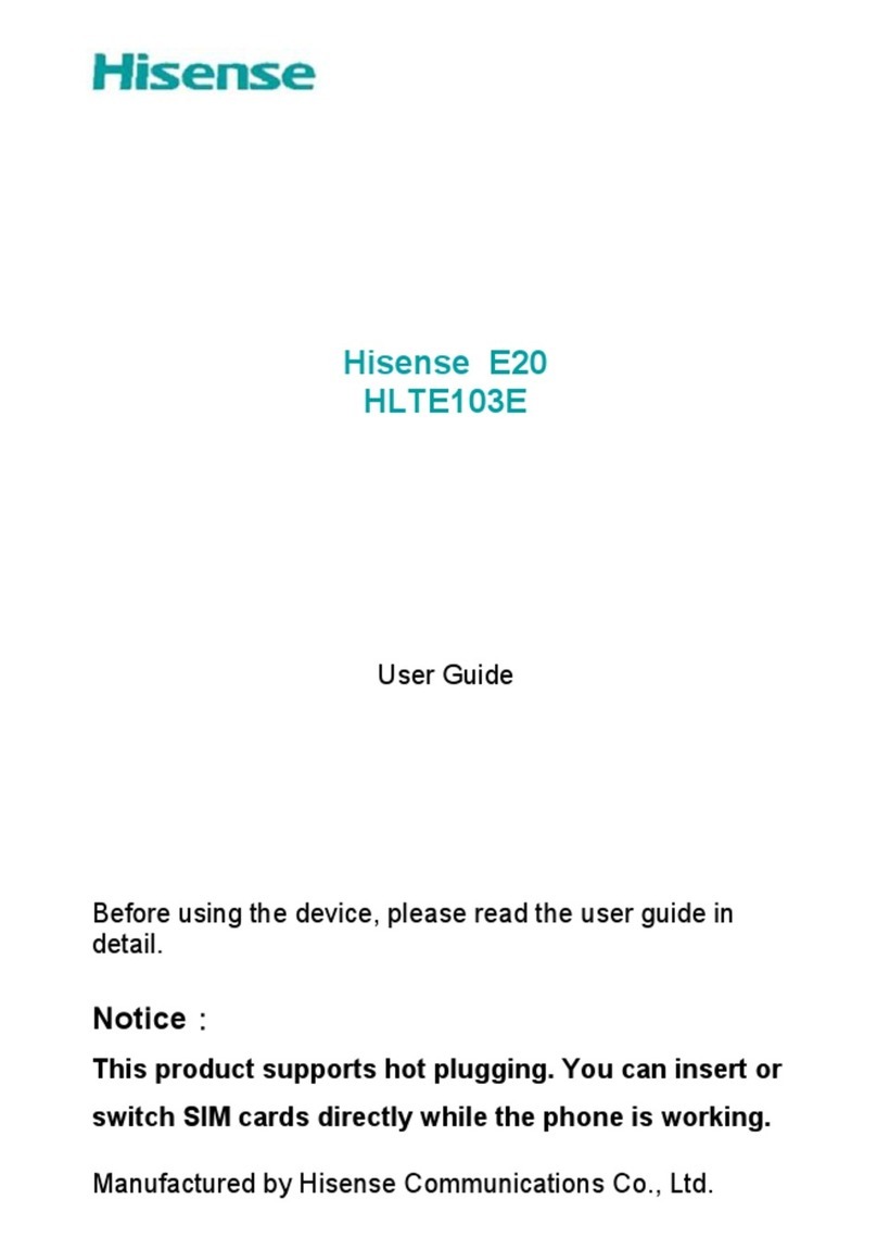 Hisense E20 User manual