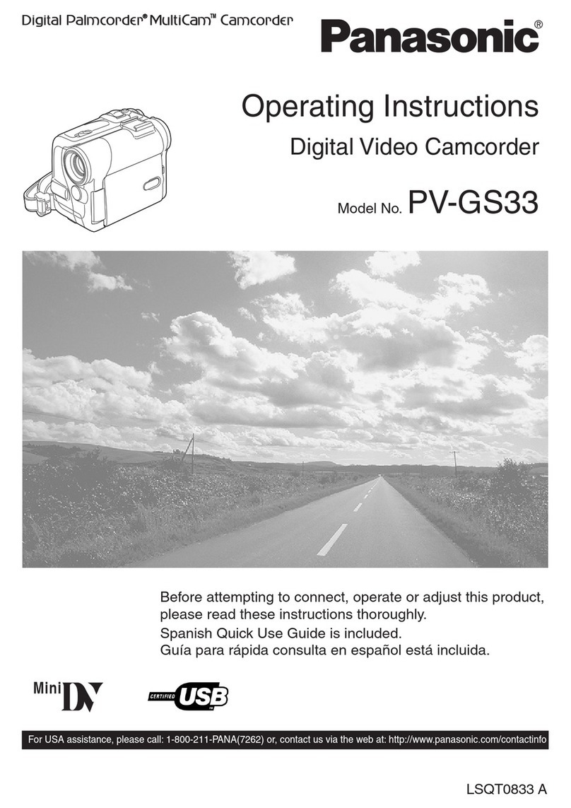 Panasonic PV-GS33PP User manual