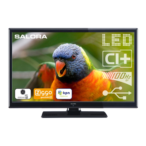 Salora LED2480CAH User manual