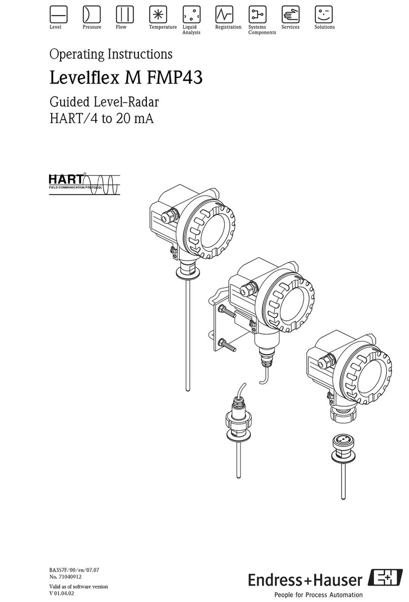 Endress+Hauser Levelflex M FMP43 operating instructions