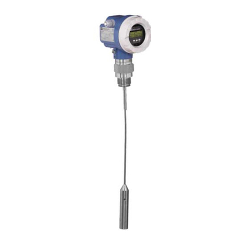 Endress+Hauser Levelflex M FMP43 User manual