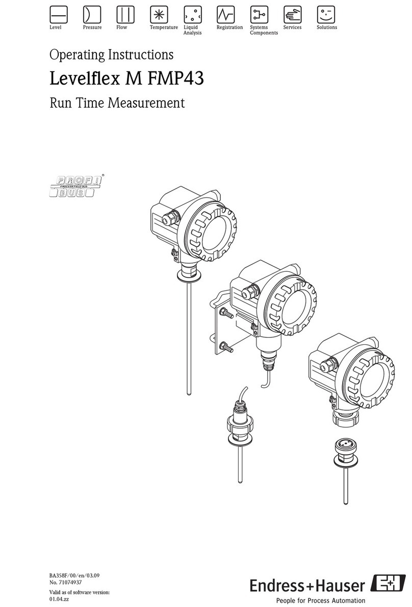 Endress+Hauser Levelflex M FMP43 User manual