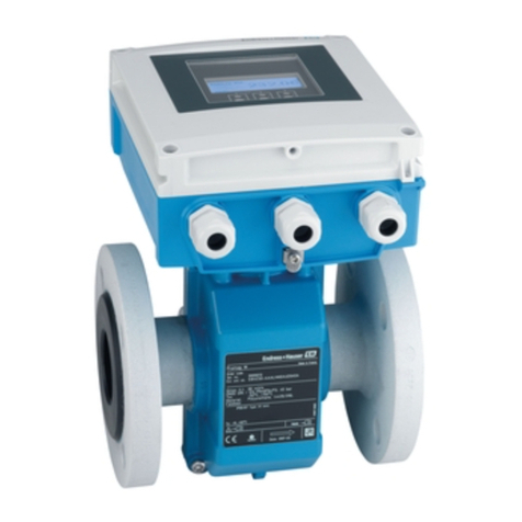 Endress+Hauser Proline Promag W 800 User manual