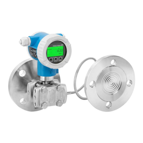 Endress+Hauser Deltabar PMD78B User manual