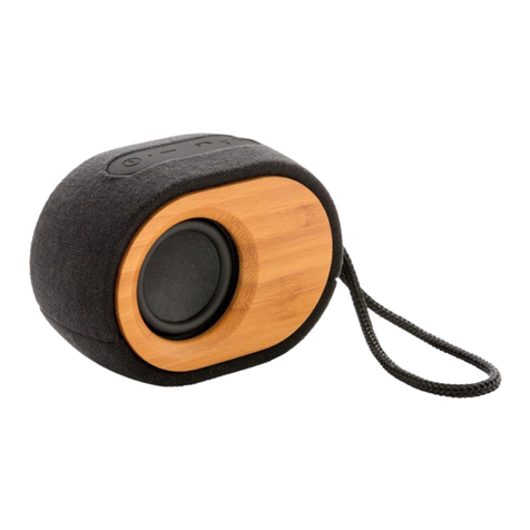 XD XCLUSIVE Bamboo X speaker manual