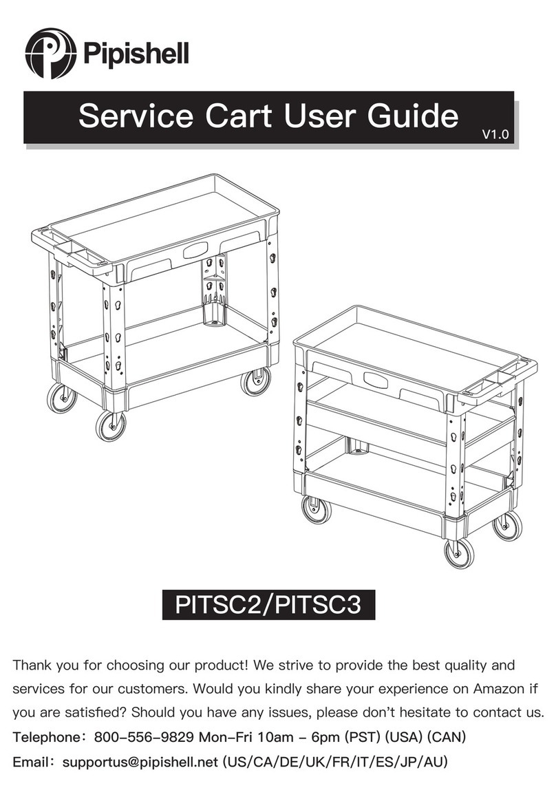 Pipishell PITSC2 user guide