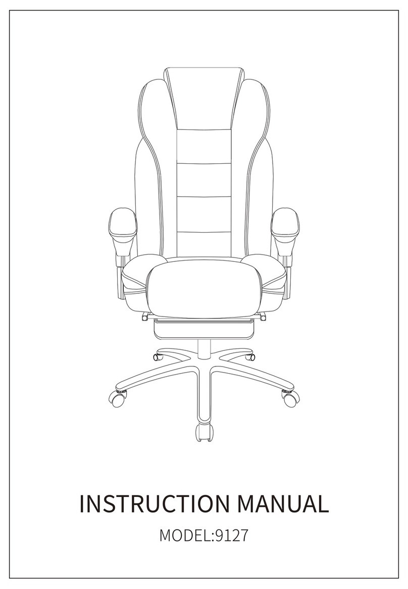 Flexispot 9127 instruction manual