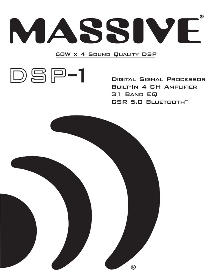 Massive DSP-1 User manual