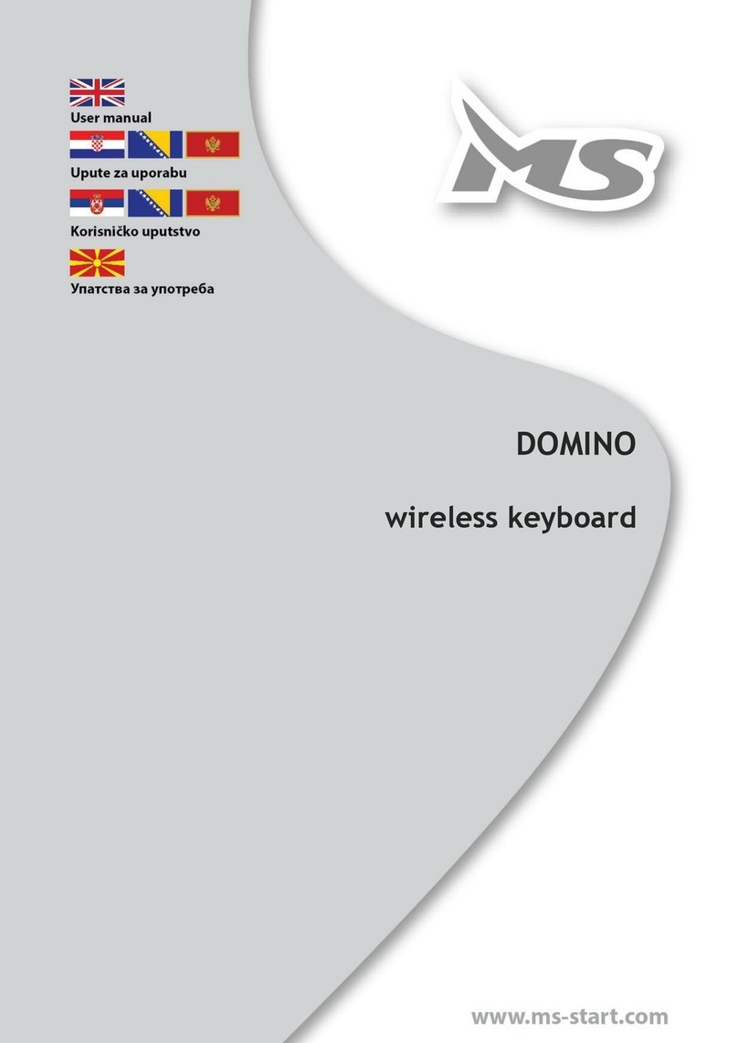 MS DOMINO user manual