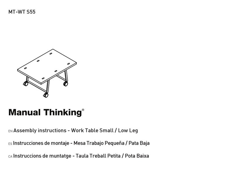 Manual Thinking MT-WT S55 User manual Manual Thinking MT-WT S55 User manual