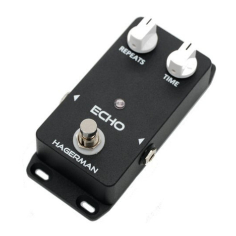 Hagerman ECHO manual