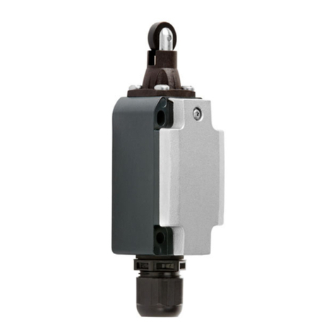 Stahl 8074/2 Series operating instructions