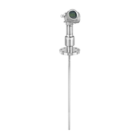 Endress+Hauser Levelflex FMP55 Technical specifications
