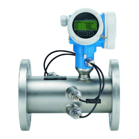 Endress+Hauser Proline Prosonic Flow B 200 User manual
