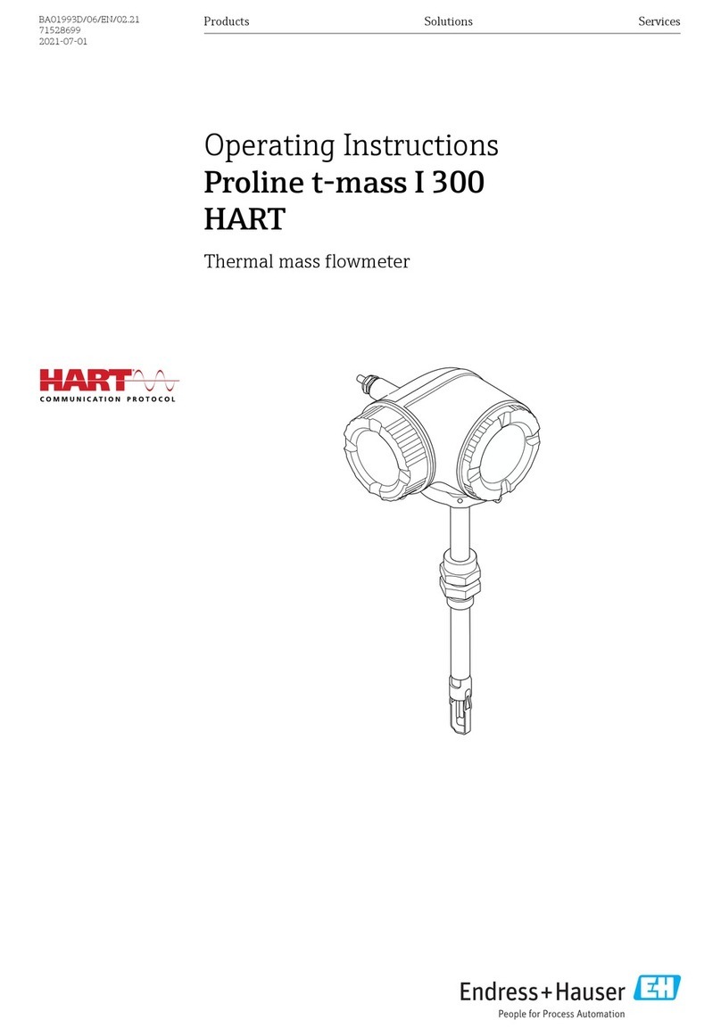 Endress+Hauser HART Proline t-mass I 300 operating instructions Endress+Hauser HART Proline t-mass I 300 operating instructions