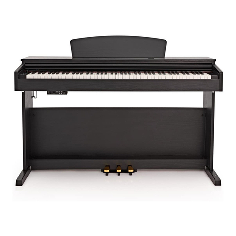 Gear4music DP-10X-MB user manual