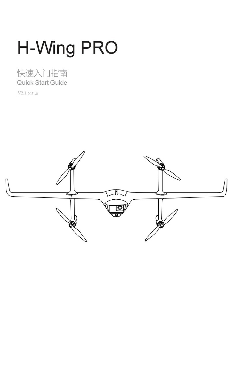 Foxtech H-Wing PRO User manual