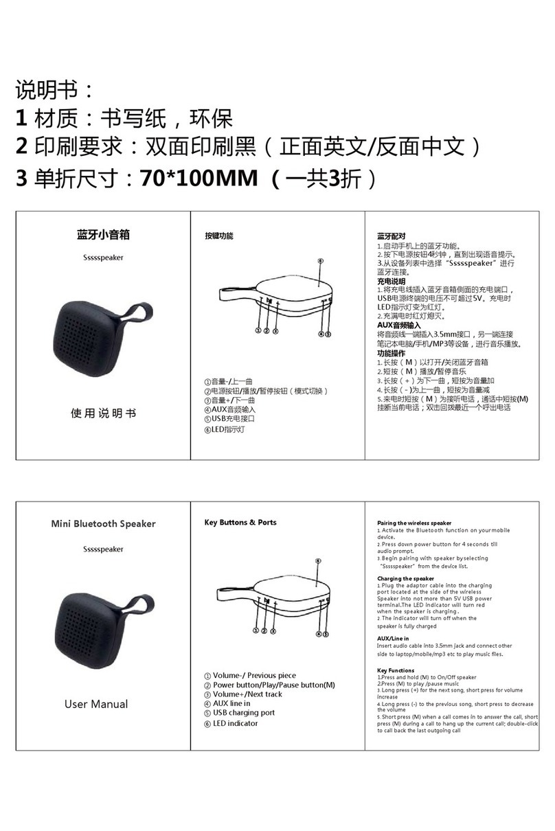 DNS Ssssspeaker user manual