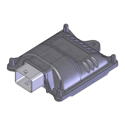 EmmeGas SIMPLE installation manual
