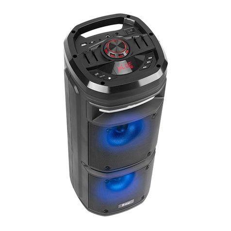 Tracer Poweraudio King TWS BT Instructions for use