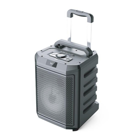 Well SPKR-BT-BLAST-WL User manual