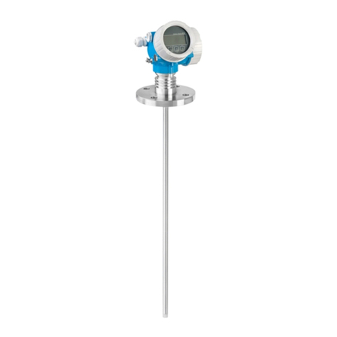 Endress+Hauser Levelflex FMP51 Technical specifications