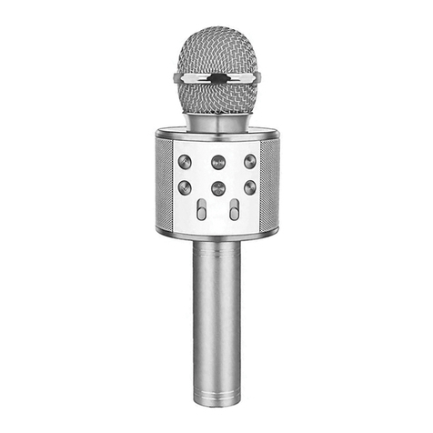 Laser MIC-MK21 manual
